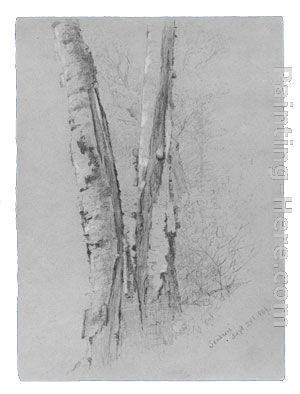 Jervis McEntee Study of Birch Trunks (Scribners')